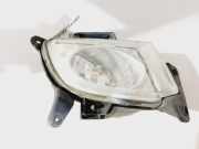Nebelscheinwerfer Rechts Vorne 922022L000 Hyundai i30 (FD) Schrägheck 1.6 CRDi 16V VGT HP (D4FB) 2007