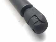 Gasdruckfeder Set Vorne 1M0823359A Seat Leon (1M1) Schrägheck 5-drs 1.9 TDI 90 (ALH)