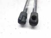 Gasdruckfedern Set Hinten 817702B001 Hyundai Santa Fe II (CM) SUV 2.2 CRDi 16V 4x4 (D4HB)