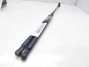 Gasdruckfedern Set Hinten 9602754380 Citroën CITROEN 1.4 Tonic 75 CV / 55 KW