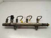 Einspritzdüsen Düsenstock 7700114017 Opel VIVARO Kombi 2.7t Corto 82 CV / 60 KW