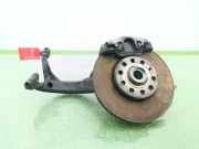 Achsschenkel Halter Links Vorne 8D0407257AE Audi A6 (C5) Limousine 2.5 TDI V6 24V (AFB)