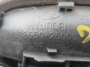Türgriff Außen Links Vorne 8265025000 Hyundai (LC) GLS CRDi 82 CV / 60 KW