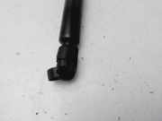 Gasdruckfeder Set Vorne 3B0823359A Volkswagen Passat (3B2) Limousine 1.9 TDi 110 (AFN) AFN