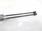 Gasdruckfedern Set Hinten 904529F725 Nissan PRIMERA BERLINA (P11) Comfort 90 CV / 66 KW
