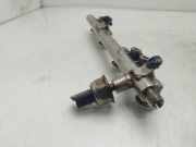 Einspritzdüsen Düsenstock 175204385R Renault Megane III Berline (BZ) Schrägheck 5-drs 1.2 16V TCE 115 (H5F-400(H5F-A4))