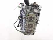 Zylinderkopf PM4R8Q6C064 Land + Range Rover Discovery III (LAA/TAA) Geländewagen 2.7 TD V6 (276DT)