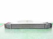 Ladeluftkühler 7M0145805 Volkswagen Sharan (7M8/M9/M6) Großraumlimousine 1.9 TDI 110 (AFN) AFN