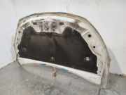 Motorhaube 651007793R Dacia Lodgy (JS/SD0J) Großraumlimousine 1.3 TCE 130 16V (H5H-470(H5H-B4))