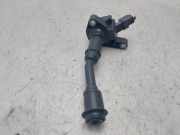 Zündspule DS7G12A366BB Ford Kuga II (DM2) SUV 1.5 EcoBoost 16V 150 (M8MD)