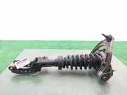 Stoßdämpfer Links Vorne 7L6412021N Volkswagen Touareg (7LA/7L6) SUV 2.5 TDI R5 (BAC) BAC