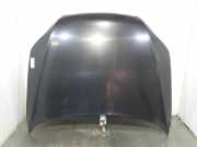 Motorhaube 4L0823029A Audi Q7 (4LB) SUV 3.0 TDI V6 24V (BUG)