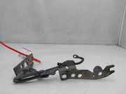 Motorhaubescharnier - 41617006123 BMW X5 (E70) SUV 3.0d 24V (M57N2-D30(306D3))