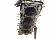 Zylinderkopf 55193091 Opel Signum (F48) Schrägheck 5-drs 1.9 CDTI 120 (Z19DT)