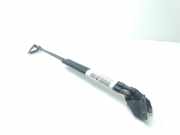 Gasdruckfedern Set Hinten 90450JD01B Nissan Qashqai (J10) SUV 2.0 dCi 4x4 (M9R)