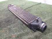 Ladeluftkühler 0051783791 Fiat Grande Punto (199) Schrägheck 1.9 Multijet (939.A.7000)