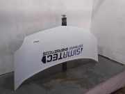 Motorhaube 651003220R Renault KANGOO Furgón Grand Confort 68 CV / 50 KW
