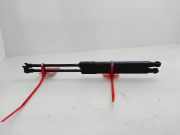 Gasdruckfeder Set Vorne 8W0823359B Audi S5 Sportback (F5A/F5F) Liftback 3.0 TFSI V6 24V (CWGD)