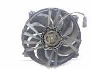 Kühlerventilator 1253A6 Citroën Xsara (N1) Schrägheck 1.9D (DW8B(WJY))