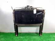 Verkleidung Himmel 39897638 Volvo XC90 I SUV 2.4 D5 20V (D5244T4)