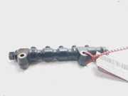 Einspritzdüsen Düsenstock 9654592680 Citroën Xsara Picasso (CH) Großraumlimousine 1.6 HDi 16V 92 (DV6ATED4(9HX))