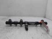 Einspritzdüsen Düsenstock A6650700295 SsangYong Rodius Großraumlimousine 2.7 270 Xdi 20V 4x2 (M665.925(Euro 4))