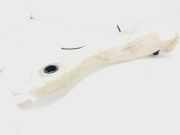 Scheibenwaschbehälter 7700835518 Renault I FASE 2 BERLINA (BA0) 1.4 16V Century 95 CV / 70 KW