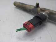Einspritzdüsen Düsenstock 0445214019 Peugeot 306 BERLINA 3/4/5 PUERTAS (S2) Boulebard 90 CV / 66 KW