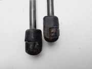 Gasdruckfedern Set Hinten BM51A406A10AE Ford Focus 3 Schrägheck 1.6 TDCi (T1DA(Euro 5))