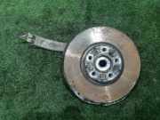 Achsschenkel Halter Links Vorne 31216773783 BMW X5 (E70) SUV 3.0 xDrive35d 24V (M57N2(306D5))