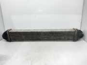 Ladeluftkühler A1695000000 Mercedes-Benz A (W169) Schrägheck 2.0 A-160 CDI 16V (OM640.942)