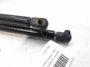 Gasdruckfedern Set Hinten 09114311 Opel Corsa C (F08/68) Schrägheck 1.3 CDTi 16V (Z13DT)