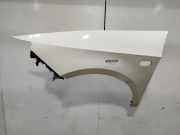 Kotflügel Links Vorne 6J0821021D Seat Ibiza IV SC (6J1) Schrägheck 3-drs 1.6 TDI 90 (CAYB)