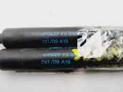 Gasdruckfeder Set Vorne 654700008R Renault Grand Scénic III (JZ) Großraumlimousine 1.6 16V (K4M-858(K4M-R8))