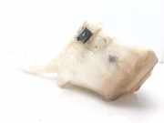 Scheibenwaschbehälter 2S6117618 Mazda 2 (NB/NC/ND/NE) Schrägheck 1.4 CiTD (F6JA)