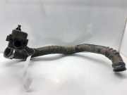 Schlauch BV616K863CC Ford Focus 3 Wagon Kombi 1.6 EcoBoost 16V 150 (JQDA)