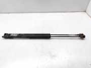 Gasdruckfedern Set Hinten 8200377199 Renault SCENIC II Confort Dynamique 101 CV / 74 KW
