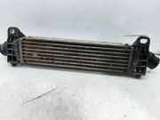 Ladeluftkühler 1S709L440 Ford Mondeo III Limousine 2.0 TDCi 130 16V (FMBA)