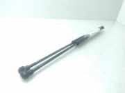 Gasdruckfedern Set Hinten 7700800311H Renault I FASE I+II (B/C57) 1.2 RN (B / C 57 R / S) 58 CV / 43 KW