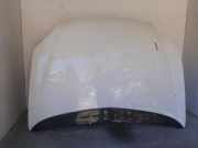 Motorhaube 7901H9 Citroën CITROEN BREAK 2.0 HDi SX 109 CV / 80 KW