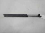 Gasdruckfedern Set Hinten XS41A406A10AE Ford FOCUS BERLINA (CAK) Trend 131 CV / 96 KW