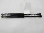 Gasdruckfedern Set Hinten 60567794 Alfa Romeo 145 (930A) Schrägheck 3-drs 1.9 JTD (AR32.302)