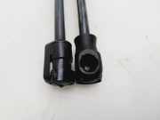 Gasdruckfedern Set Hinten 08510550 Ford Focus 2 C+C Cabrio 2.0 16V (A0DA)