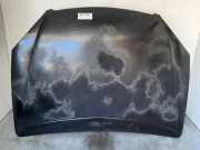 Motorhaube 7901H9 Citroën CITROEN BERLINA 2.0 HDi SX 109 CV / 80 KW
