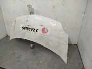 Motorhaube 651003220R Renault Kangoo Express (FW) Van 1.5 dCi 70 (K9K-840(Euro 4))