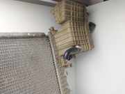 Radiator 6385012701 Mercedes-Benz (W638) Kombi 108 CDI (638.194) 82 CV / 60 KW