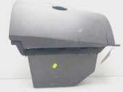 Handschuhfach 8200407712 Renault CLIO III Authentique 65 CV / 48 KW