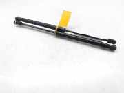 Gasdruckfedern Set Hinten 244638295133 Opel Astra H (L69) Limousine 1.7 CDTi 16V (Z17DTH)