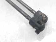 Gasdruckfedern Set Hinten 4G9827552B Audi A6 Avant (C7) Kombi 3.0 TDI V6 24V (CZVB)