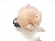 Ausgleichbehälter - 96543107800 Citroën C4 Grand Picasso (UA) Großraumlimousine 1.6 16V VTi 120 (EP6C(5FS))